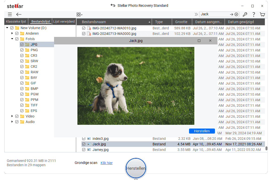 Scannen en herstellen